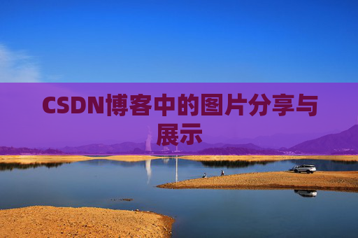CSDN博客中的图片分享与展示
